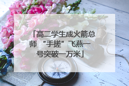 高二学生成火箭总师 “手搓”飞燕一号突破一万米