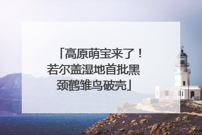 高原萌宝来了！若尔盖湿地首批黑颈鹤雏鸟破壳