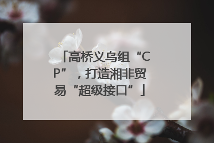 高桥义乌组“CP”，打造湘非贸易“超级接口”