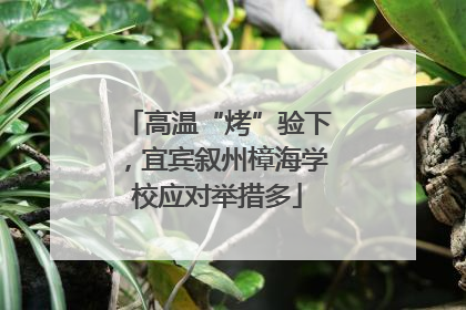 高温“烤”验下，宜宾叙州樟海学校应对举措多