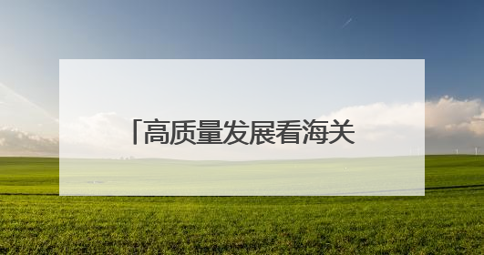 高质量发展看海关｜智慧监管系统助力宜宾打造中国“动力电池之都”