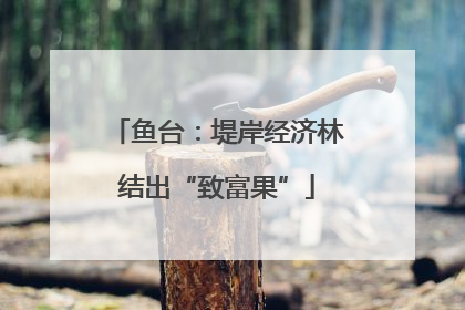 鱼台：堤岸经济林结出“致富果”