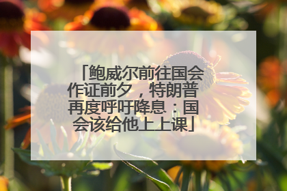鲍威尔前往国会作证前夕，特朗普再度呼吁降息：国会该给他上上课
