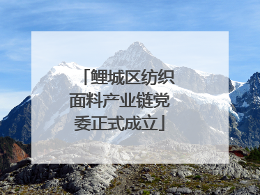 鲤城区纺织面料产业链党委正式成立