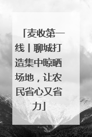 麦收第一线丨聊城打造集中晾晒场地，让农民省心又省力