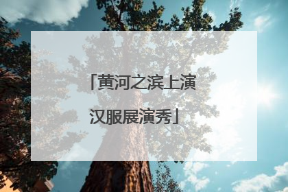 黄河之滨上演汉服展演秀