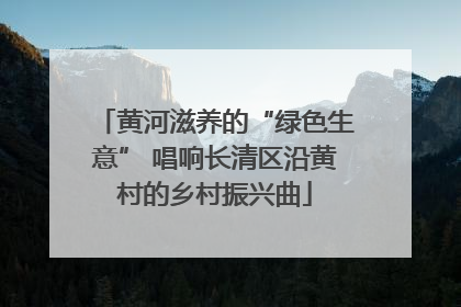 黄河滋养的“绿色生意” 唱响长清区沿黄村的乡村振兴曲