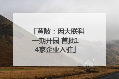 黄陂：因大联科一期开园 首批14家企业入驻