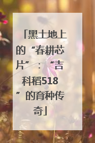 黑土地上的“春耕芯片”：“吉科稻518”的育种传奇