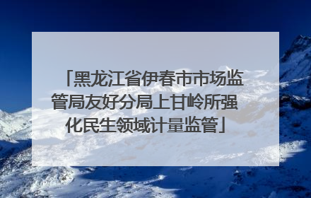 黑龙江省伊春市市场监管局友好分局上甘岭所强化民生领域计量监管
