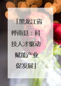 黑龙江省桦南县：科技人才驱动 赋能产业促发展