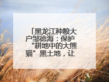 黑龙江种粮大户邹德海：保护“耕地中的大熊猫”黑土地，让增产可持续