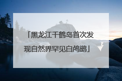 黑龙江千鹤岛首次发现自然界罕见白鸬鹚