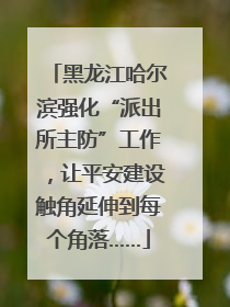 黑龙江哈尔滨强化“派出所主防”工作，让平安建设触角延伸到每个角落……