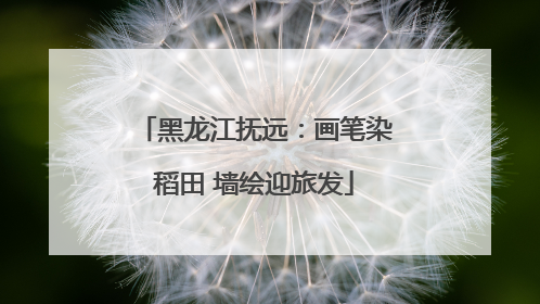 黑龙江抚远：画笔染稻田 墙绘迎旅发