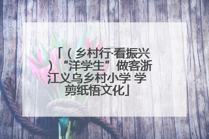 （乡村行·看振兴）“洋学生”做客浙江义乌乡村小学 学剪纸悟文化