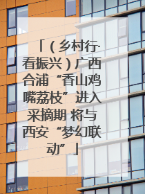 （乡村行·看振兴）广西合浦“香山鸡嘴荔枝”进入采摘期 将与西安“梦幻联动”