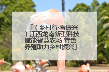 （乡村行·看振兴）江西龙南新型科技赋能智慧农场 特色养殖助力乡村振兴
