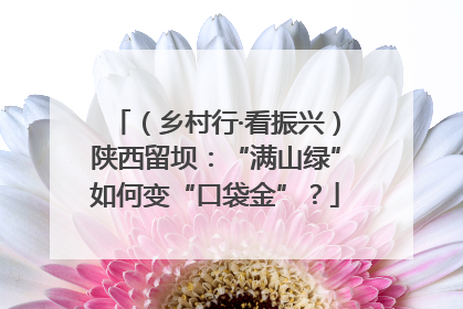 （乡村行·看振兴）陕西留坝：“满山绿”如何变“口袋金”？