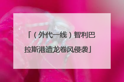 （外代一线）智利巴拉斯港遭龙卷风侵袭