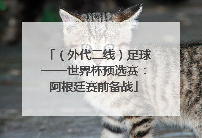 （外代二线）足球——世界杯预选赛：阿根廷赛前备战