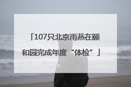 107只北京雨燕在颐和园完成年度“体检”