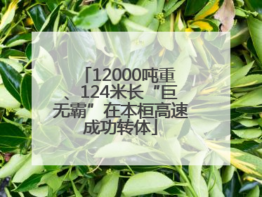 12000吨重、124米长“巨无霸”在本桓高速成功转体
