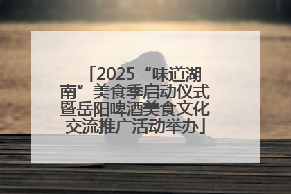 2025“味道湖南”美食季启动仪式暨岳阳啤酒美食文化交流推广活动举办