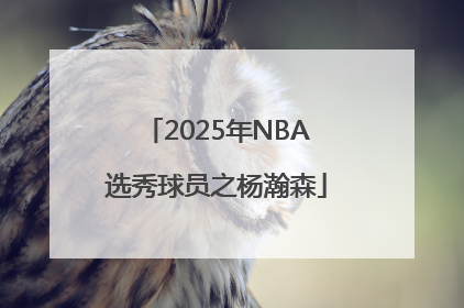 2025年NBA选秀球员之杨瀚森