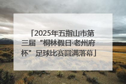 2025年五指山市第三届“桐林假日·老州府杯”足球比赛圆满落幕