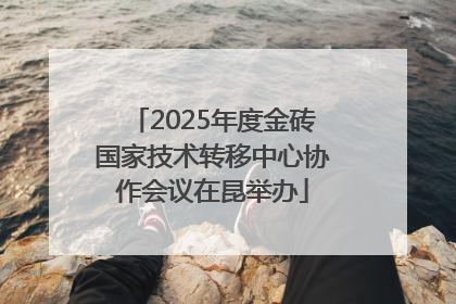 2025年度金砖国家技术转移中心协作会议在昆举办