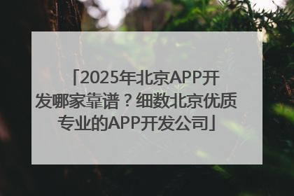 2025年北京APP开发哪家靠谱？细数北京优质专业的APP开发公司