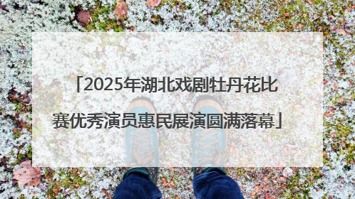 2025年湖北戏剧牡丹花比赛优秀演员惠民展演圆满落幕