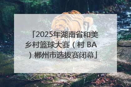 2025年湖南省和美乡村篮球大赛（村 BA）郴州市选拔赛闭幕