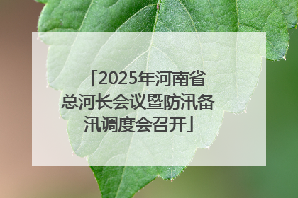 2025年河南省总河长会议暨防汛备汛调度会召开