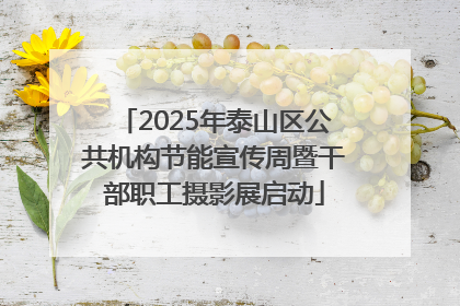 2025年泰山区公共机构节能宣传周暨干部职工摄影展启动