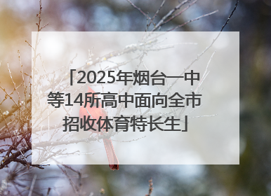 2025年烟台一中等14所高中面向全市招收体育特长生