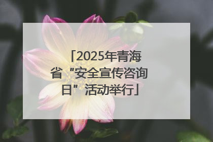 2025年青海省“安全宣传咨询日”活动举行