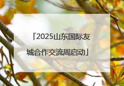 2025山东国际友城合作交流周启动