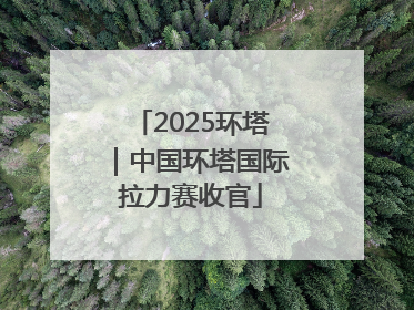 2025环塔｜中国环塔国际拉力赛收官