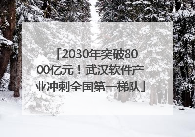 2030年突破8000亿元！武汉软件产业冲刺全国第一梯队