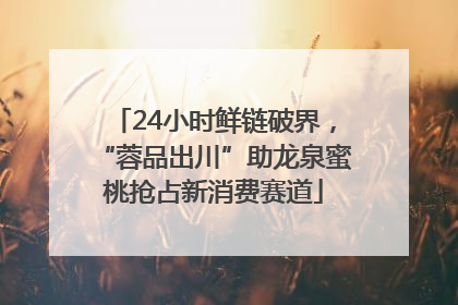 24小时鲜链破界，“蓉品出川”助龙泉蜜桃抢占新消费赛道