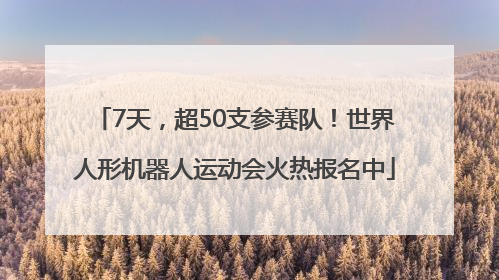 7天，超50支参赛队！世界人形机器人运动会火热报名中