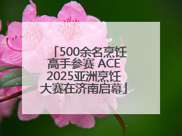 500余名烹饪高手参赛 ACE2025亚洲烹饪大赛在济南启幕