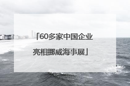 60多家中国企业亮相挪威海事展