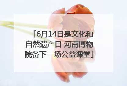 6月14日是文化和自然遗产日 河南博物院备下一场公益课堂