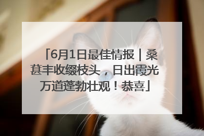 6月1日最佳情报｜桑葚丰收缀枝头，日出霞光万道蓬勃壮观！恭喜