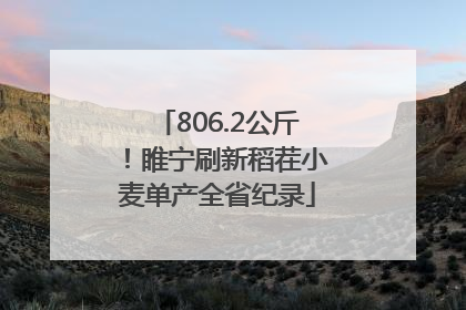 806.2公斤！睢宁刷新稻茬小麦单产全省纪录