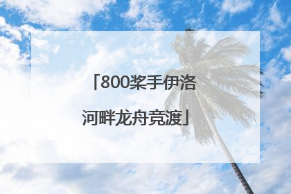 800桨手伊洛河畔龙舟竞渡