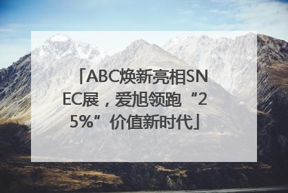 ABC焕新亮相SNEC展，爱旭领跑“25%”价值新时代
